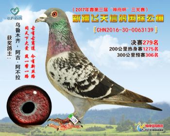 新疆飞天决赛279名