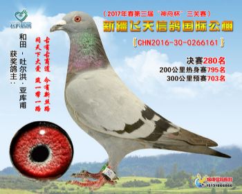 新疆飞天决赛280名