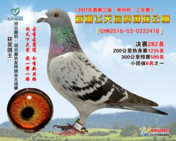 新疆飞天决赛282名