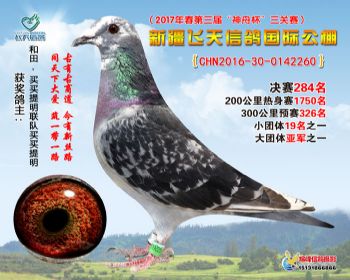 新疆飞天决赛284名