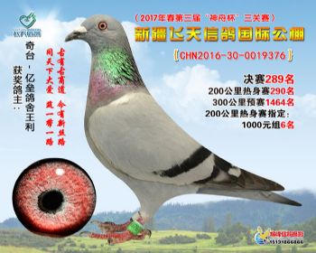 新疆飞天决赛289名