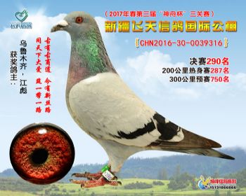 新疆飞天决赛290名