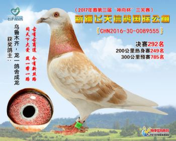 新疆飞天决赛292名