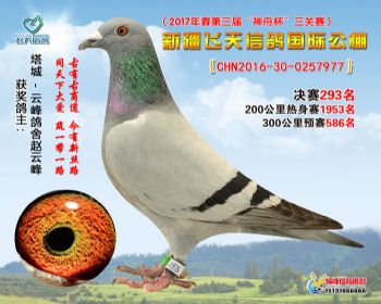 新疆飞天决赛293名