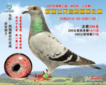 新疆飞天决赛294名