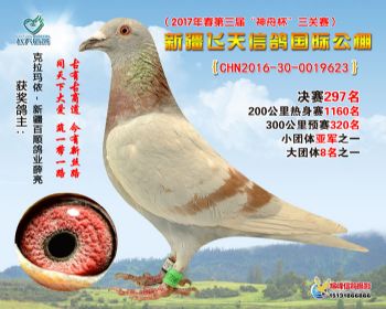 新疆飞天决赛297名
