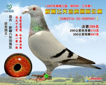 新疆飞天决赛299名