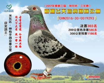 新疆飞天决赛303名