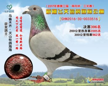 新疆飞天决赛306名
