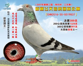 新疆飞天决赛309名