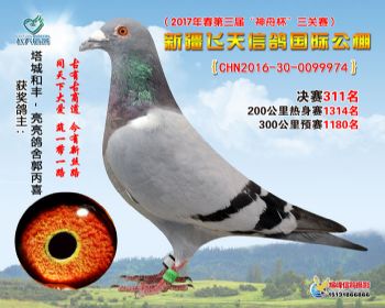 新疆飞天决赛311名