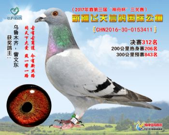 新疆飞天决赛312名