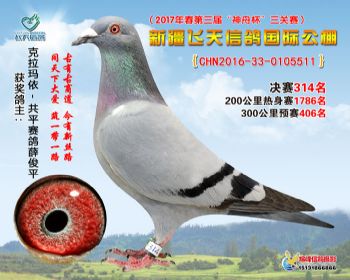 新疆飞天决赛314名