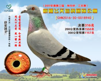 新疆飞天决赛316名