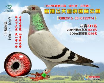 新疆飞天决赛317名