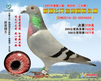 新疆飞天决赛319名