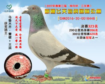 新疆飞天决赛323名