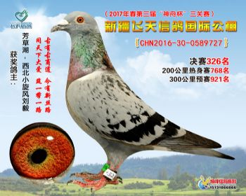 新疆飞天决赛326名