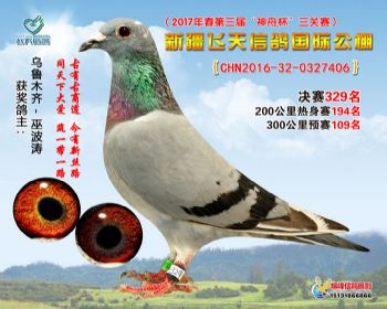 新疆飞天决赛329名