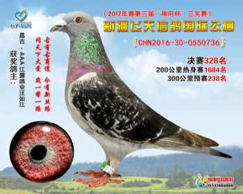 新疆飞天决赛328名