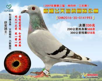 新疆飞天决赛330名
