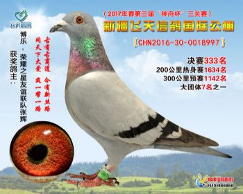 新疆飞天决赛333名
