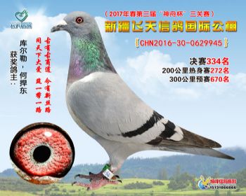 新疆飞天决赛334名