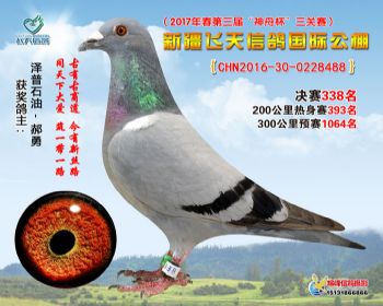 新疆飞天决赛338名