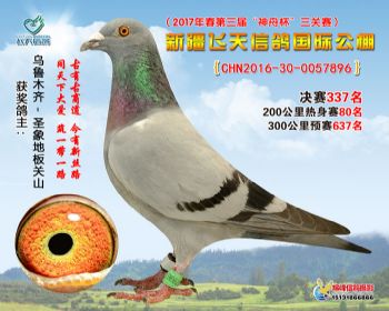 新疆飞天决赛337名