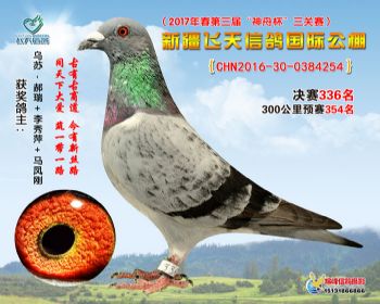 新疆飞天决赛336名