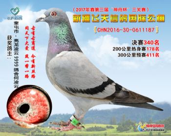 新疆飞天决赛340名