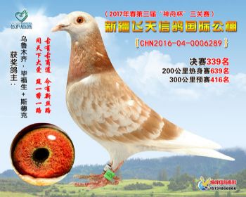新疆飞天决赛339名