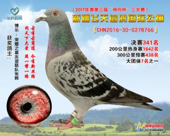 新疆飞天决赛341名