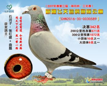 新疆飞天决赛342名