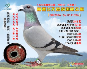 新疆飞天决赛344名