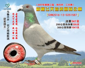 新疆飞天决赛347名