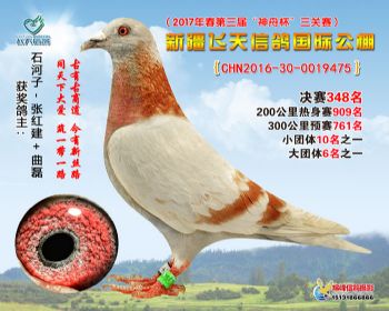 新疆飞天决赛348名
