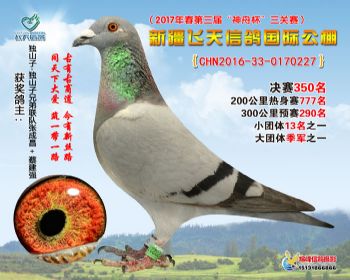 新疆飞天决赛350名