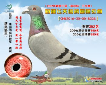 新疆飞天决赛352名