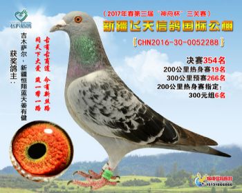 新疆飞天决赛354名