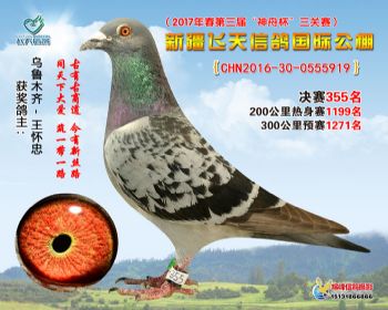 新疆飞天决赛355名