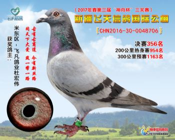 新疆飞天决赛356名