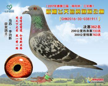 新疆飞天决赛362名