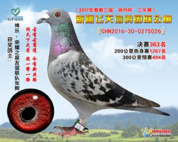 新疆飞天决赛363名