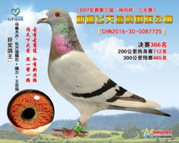 新疆飞天决赛366名