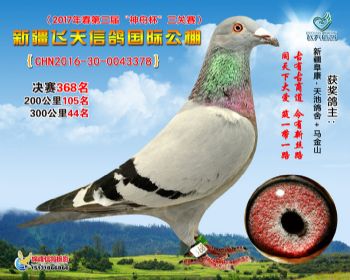 新疆飞天决赛368名