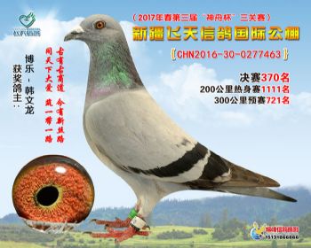 新疆飞天决赛370名