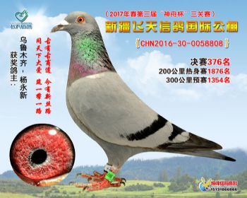 新疆飞天决赛376名