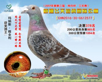 新疆飞天决赛378名
