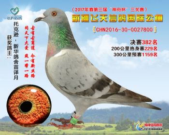 新疆飞天决赛382名